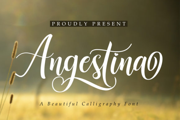 Angestina: A Charming Script Font for Web Design