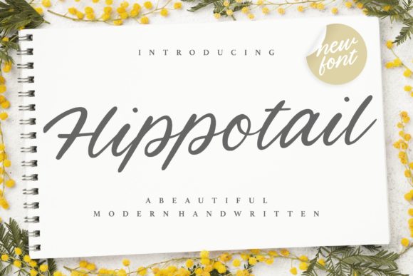Hippotail: The Elegant Script Font for Campaigns
