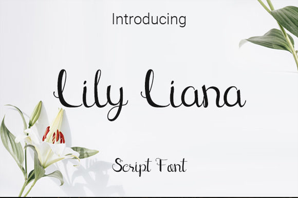 Lily Liana: A Handwritten Font for Elegant Editorial Design