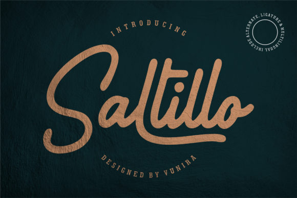 Saltillo: A Handwritten Font for Modern Campaigns